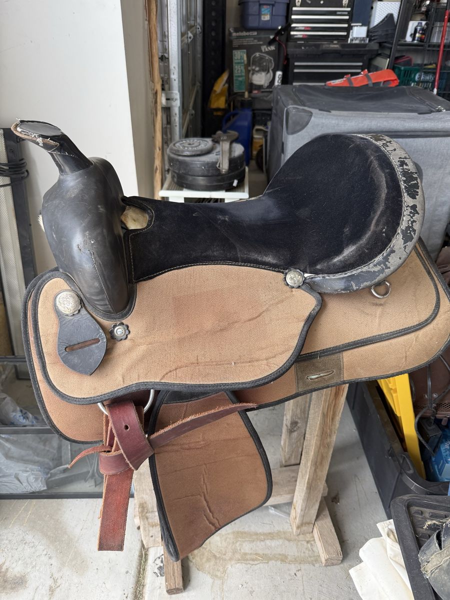 Horse tack, saddle, bridle, chest collar, saddle pad etc