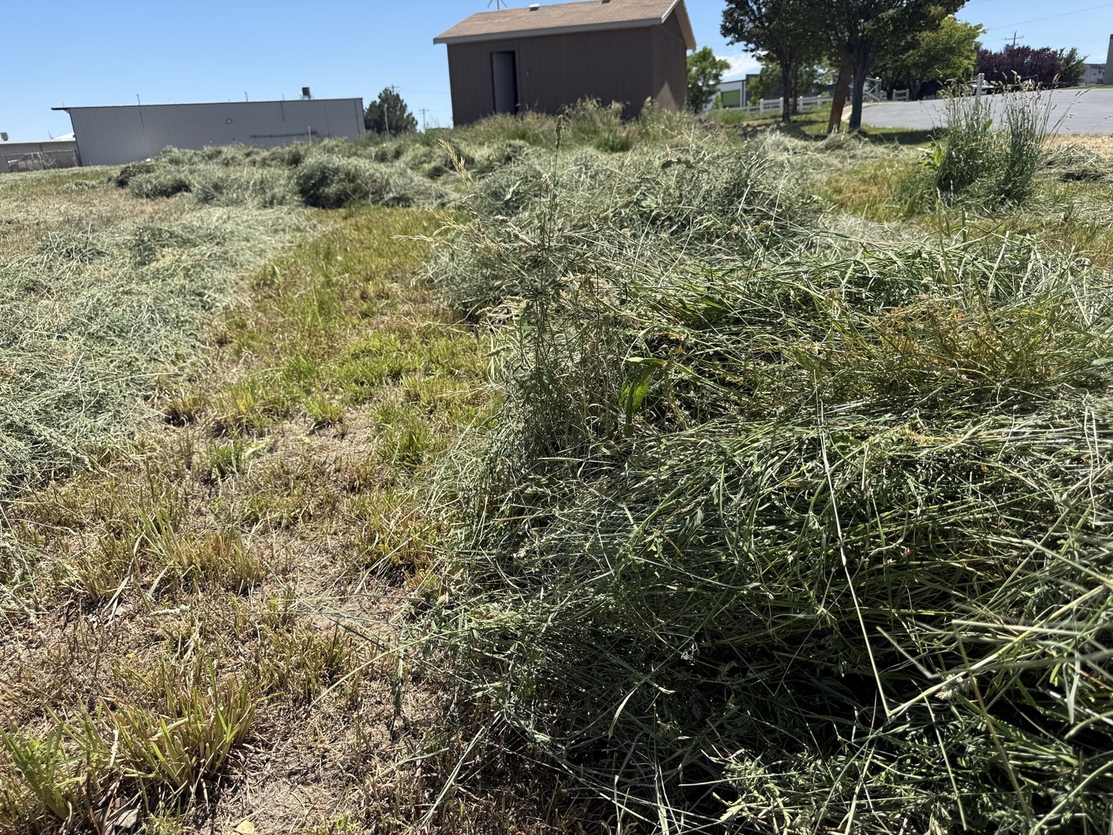 Hay cut small bales in west  Jordan mix hay