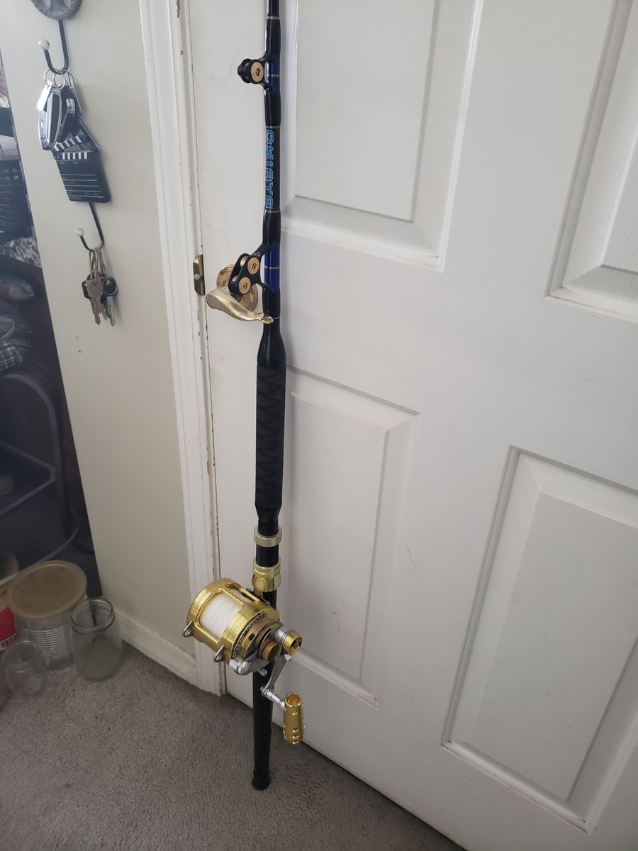 DEEP SEA FISHING ROD AND REEL