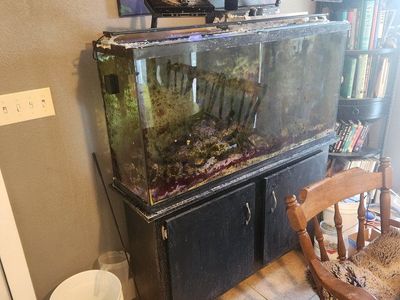 60 Gallon Glass Fish Aquarium Tank with Black Wooden Cabinet Stand