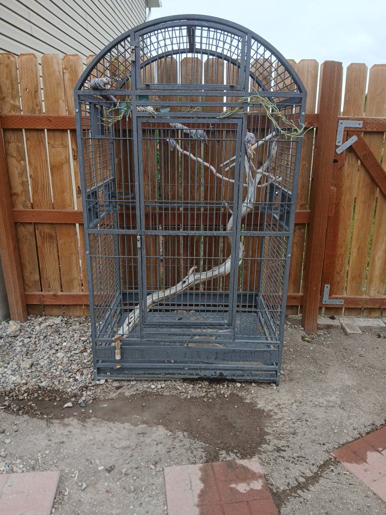 Large Outdoor Bird Aviary/Cage with Arched Top & Perches - Heavy Duty Metal Construction