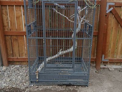 Large Outdoor Bird Aviary/Cage with Arched Top & Perches - Heavy Duty Metal Construction