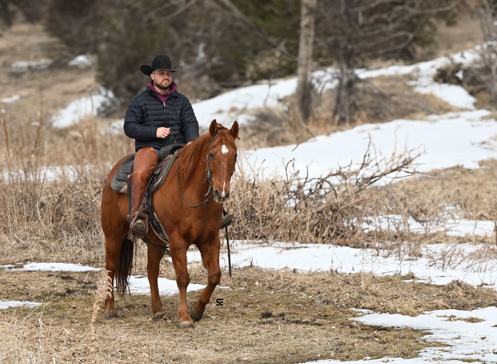 𝗛𝗨𝗚𝗘 & 𝗦𝗔𝗙𝗘 | 𝗕𝗲𝗲𝗻-𝗧𝗵𝗲𝗿𝗲-𝗗𝗼𝗻𝗲-𝗧𝗵𝗮𝘁 | 𝗥𝗲𝗱 𝗗𝘂𝗻 𝗚𝗲𝗹𝗱𝗶𝗻𝗴