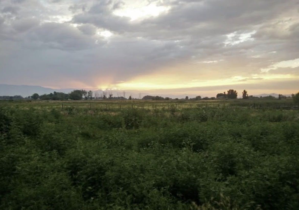 Main image 7