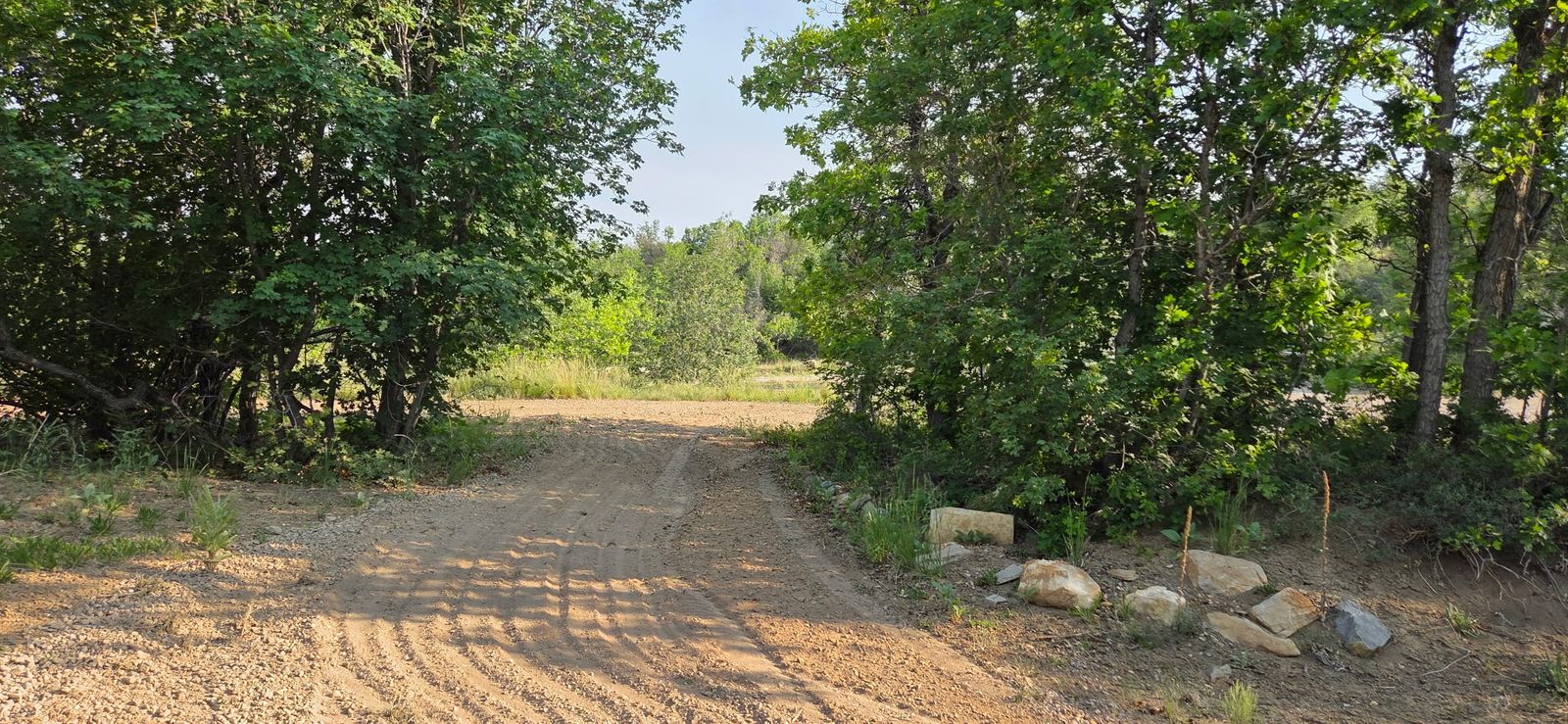 Main image 15