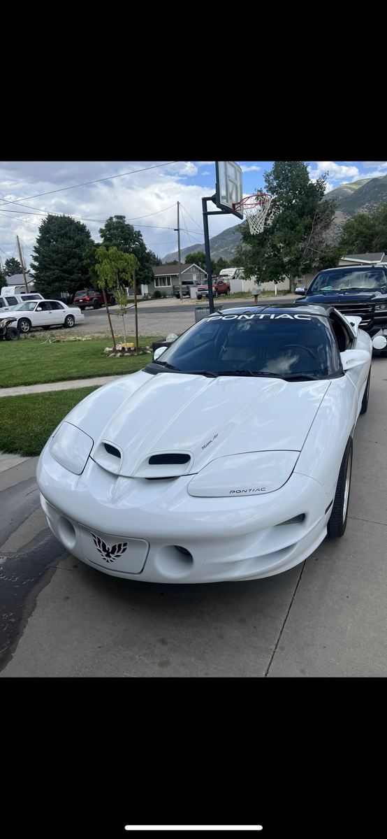 2000 Pontiac Transam WS6