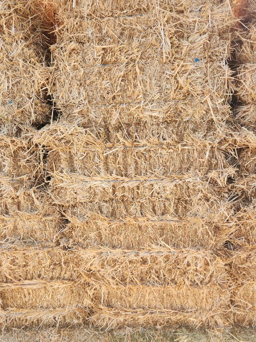 Main image 2