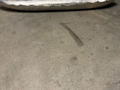 Silver decorative dish