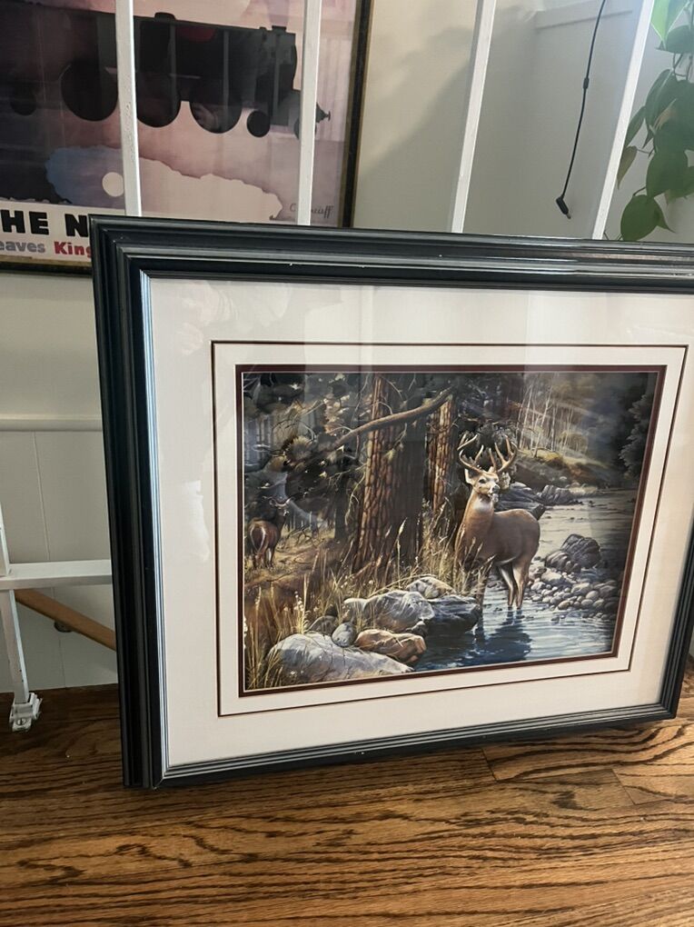 Deer Framed Photo