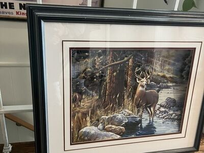 Deer Framed Photo