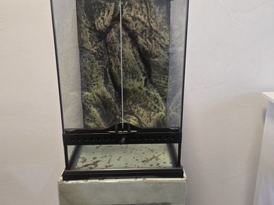 exo terra terrarium