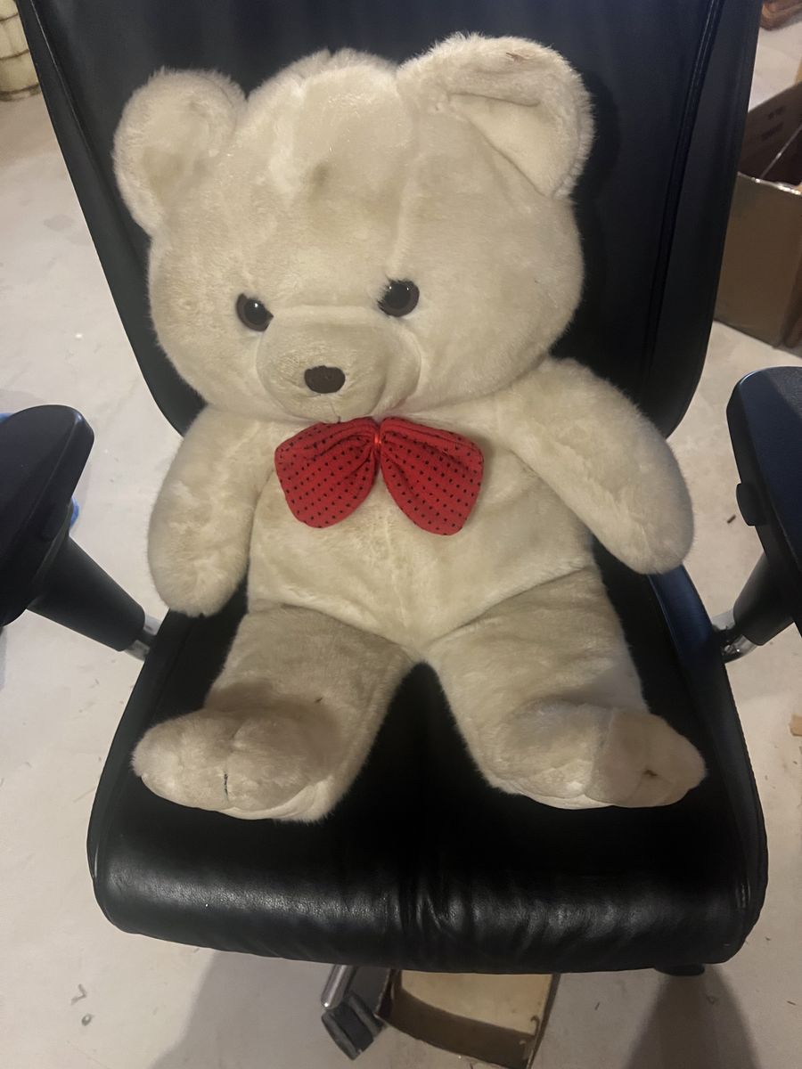 Large White Teddy Bear Stuffy