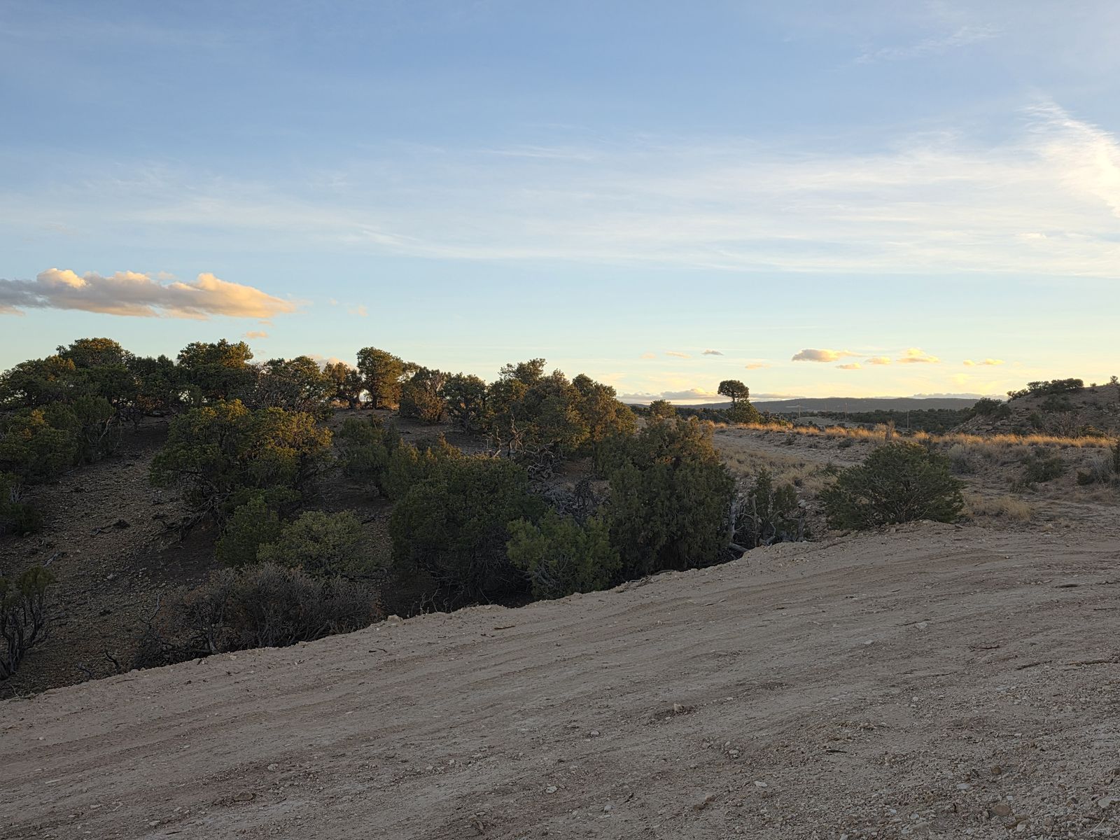 Main image 8