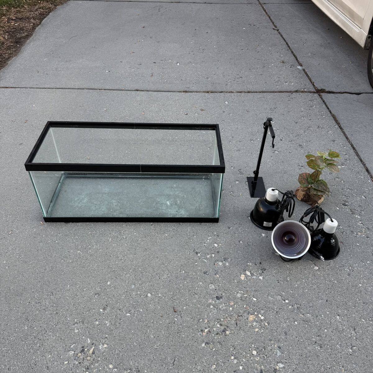 Reptile Tank Setup — Lamp Stand & Lights