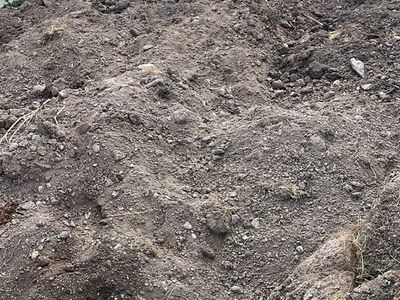 Free top soil