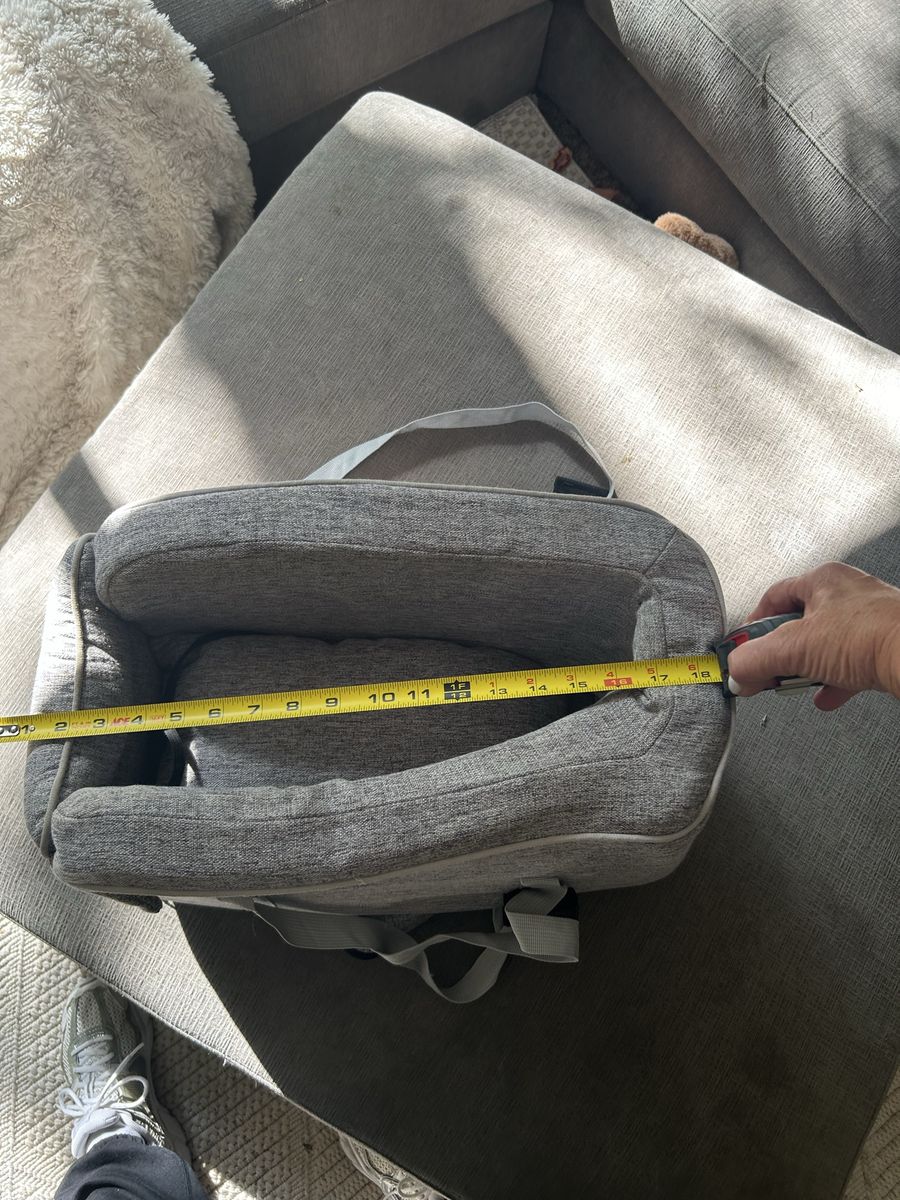 Pet car seat