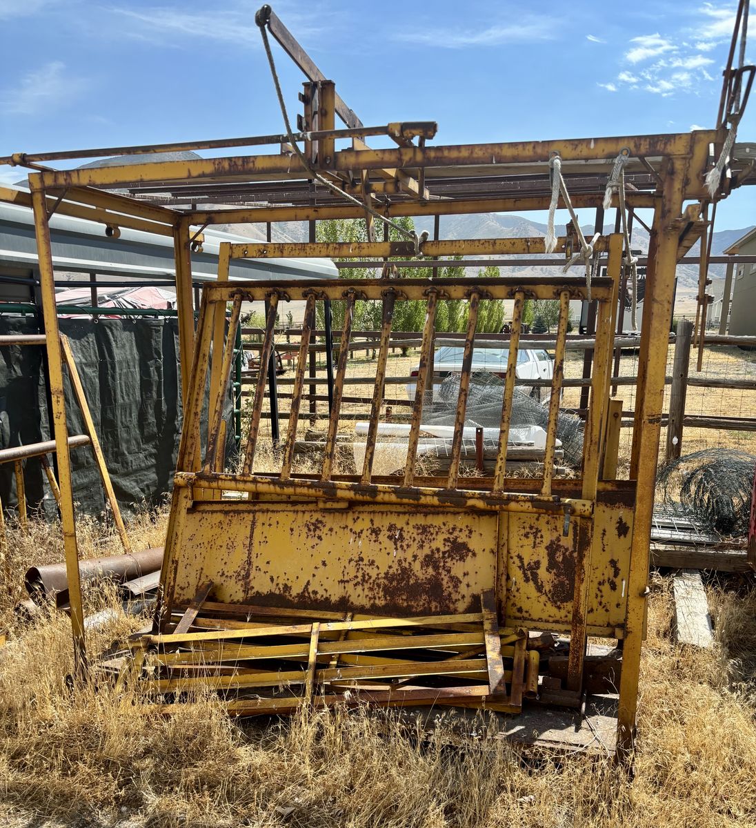 Cattle Shoot