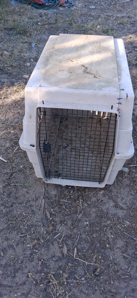 animal crate