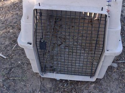animal crate