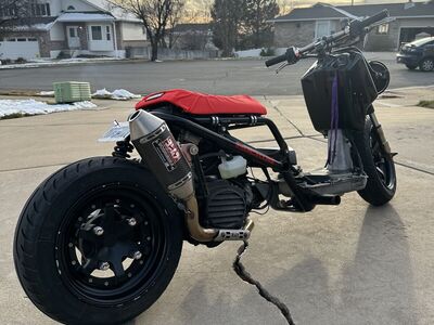 2014 Honda Ruckus