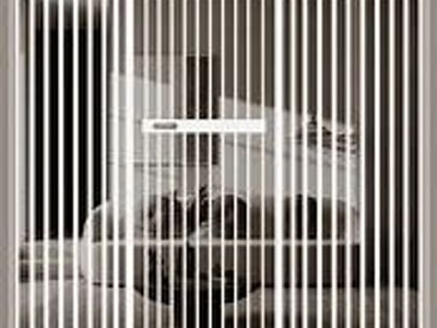 Extra Tall Room Divider Gate