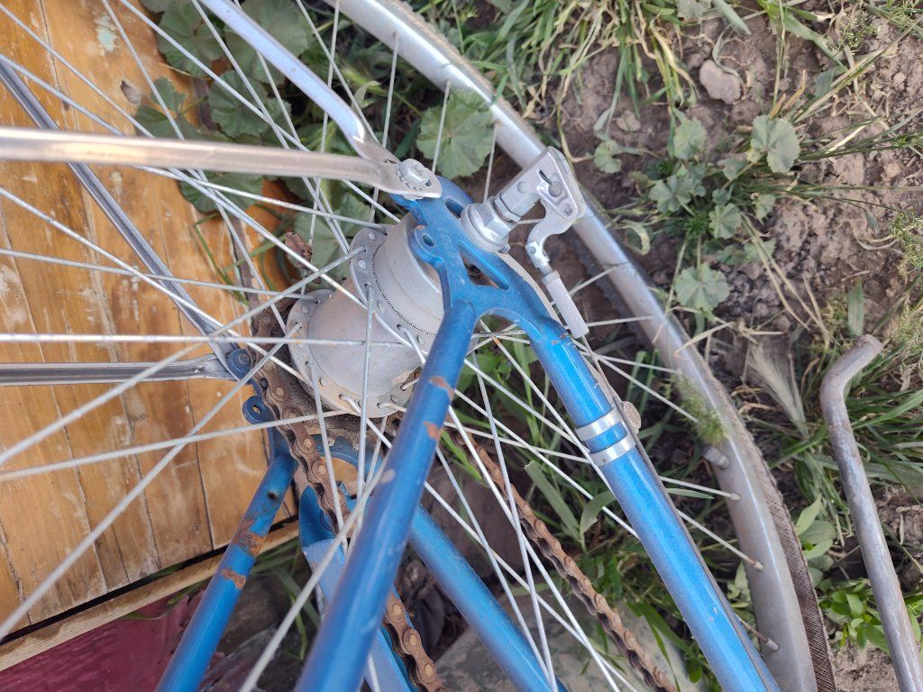 Schwinn cruiser