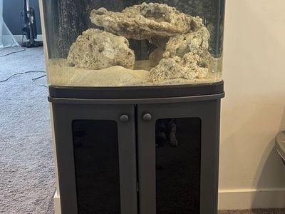 Salt water tank and supplies