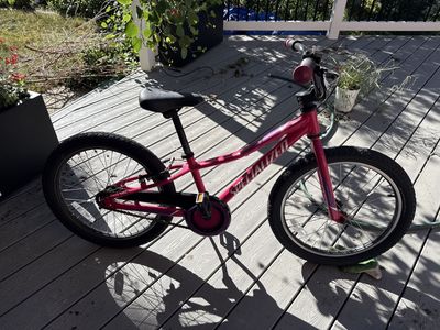 Kids Specialized Bile