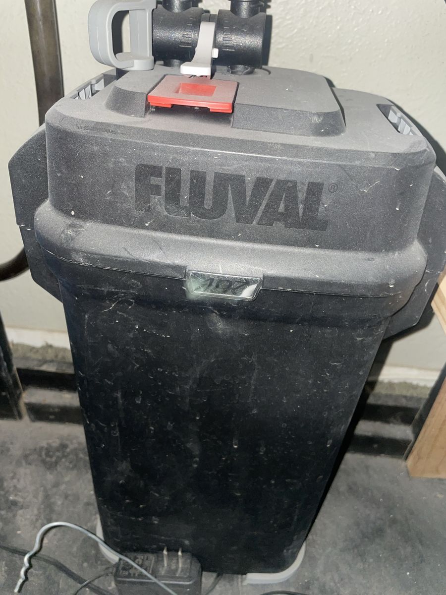 Main image 7