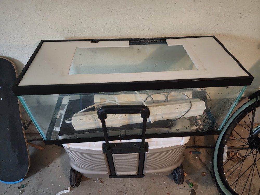 20 gallon long tank