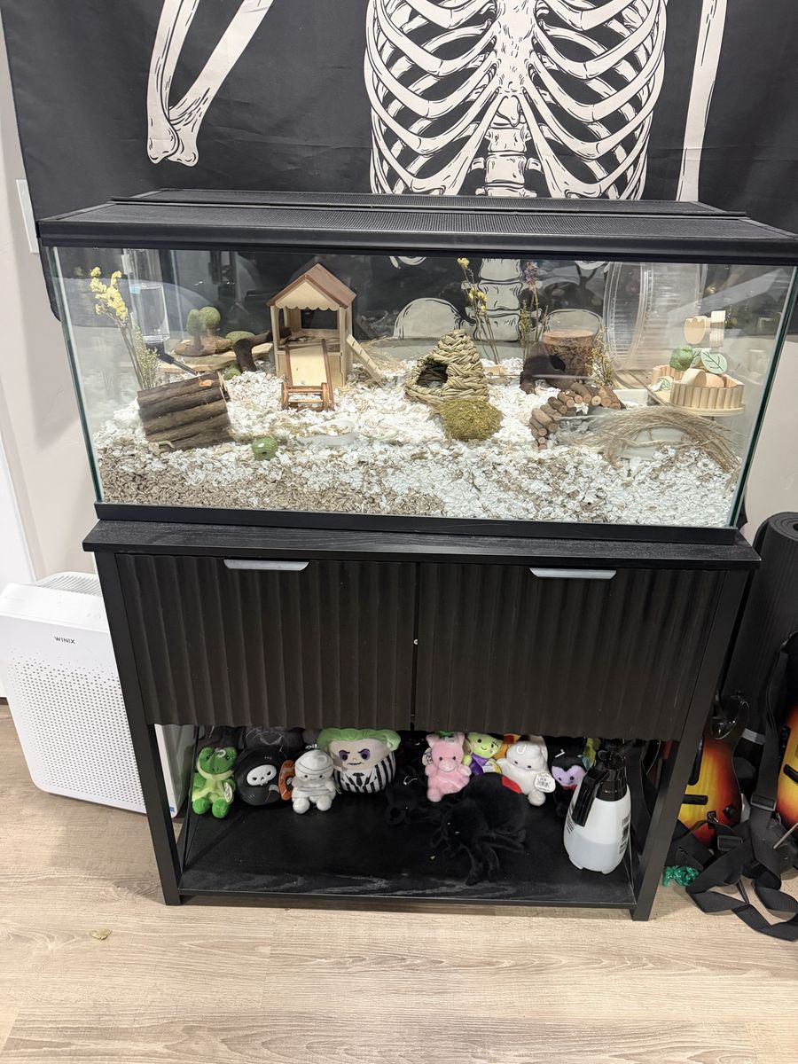 40 gallon tank, lid, & stand