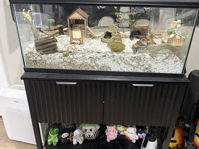 40 gallon tank, lid, & stand