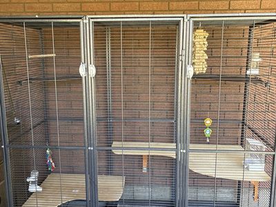XXL Animal/ Bird Cage