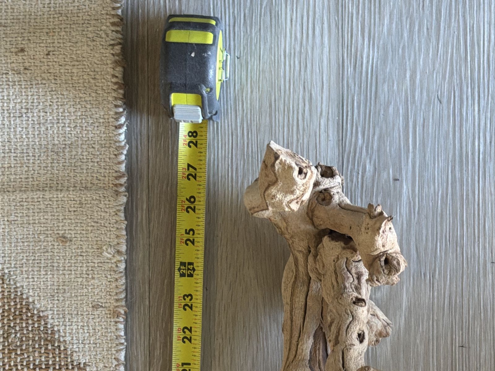 Main image 7