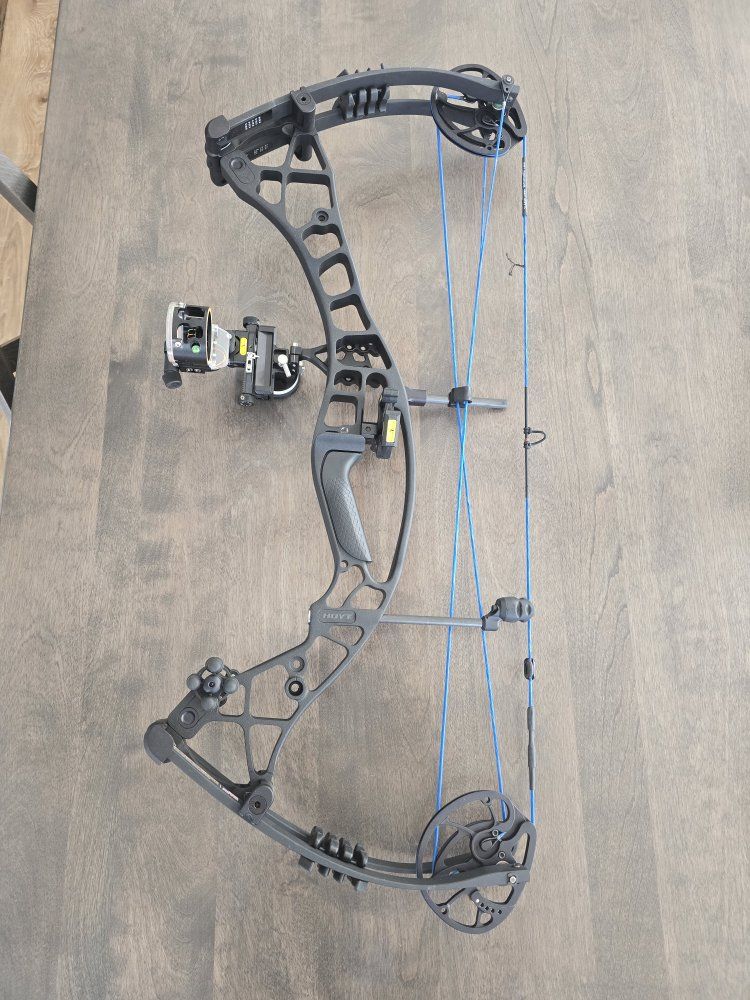 Hoyt Eclipse Compound Bow