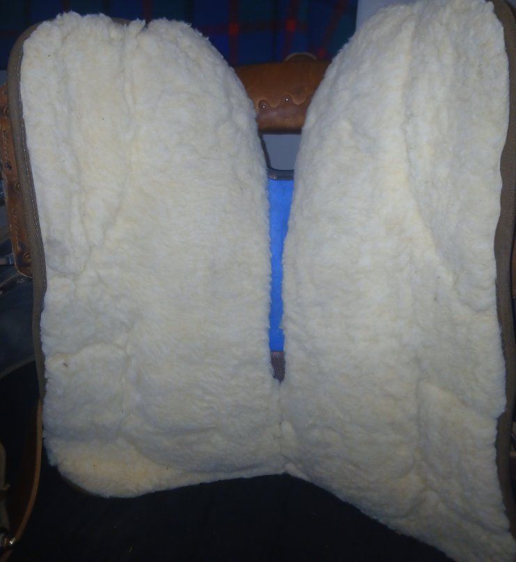 Main image 5