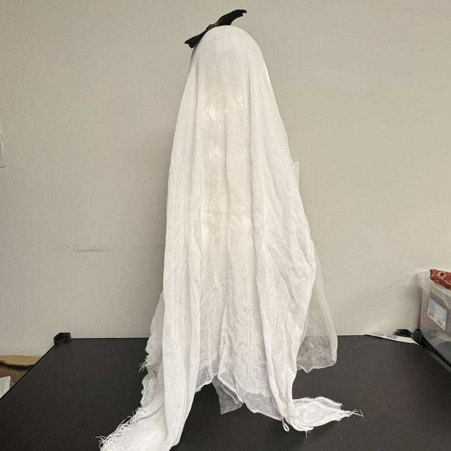 Main image 5