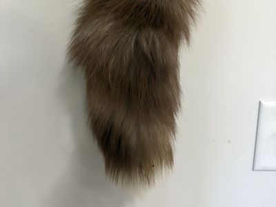 Brown Fox Tail Keychain