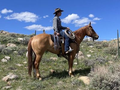 2020 AQHA Mare