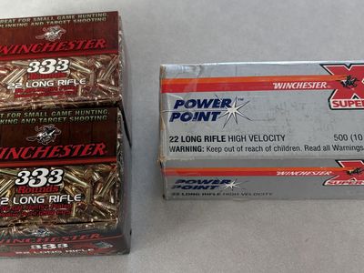 22 Ammo
