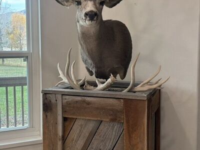 Deer Pedestal