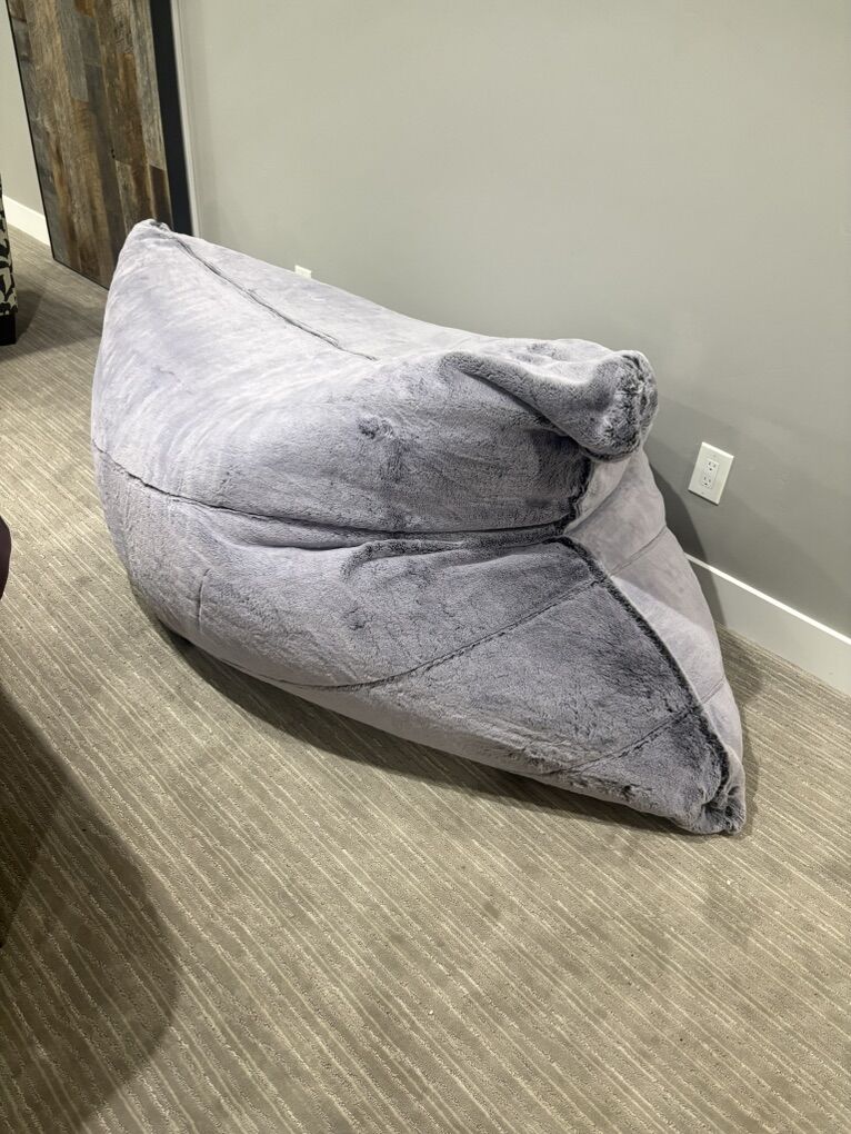 PillowSac Insert & Cover-NEW