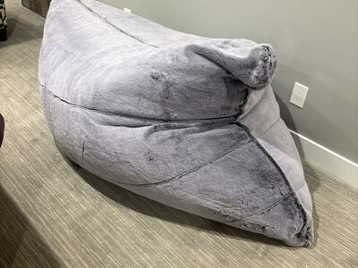 PillowSac Insert & Cover-NEW
