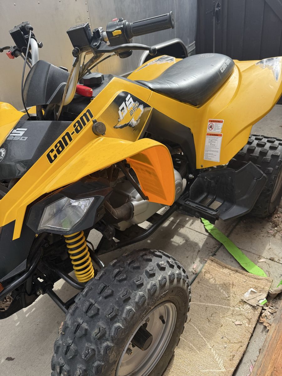 Can Am DS 250