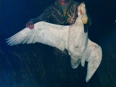 Lake Front Duck Club Hunting Share with Shed Plot & Gear