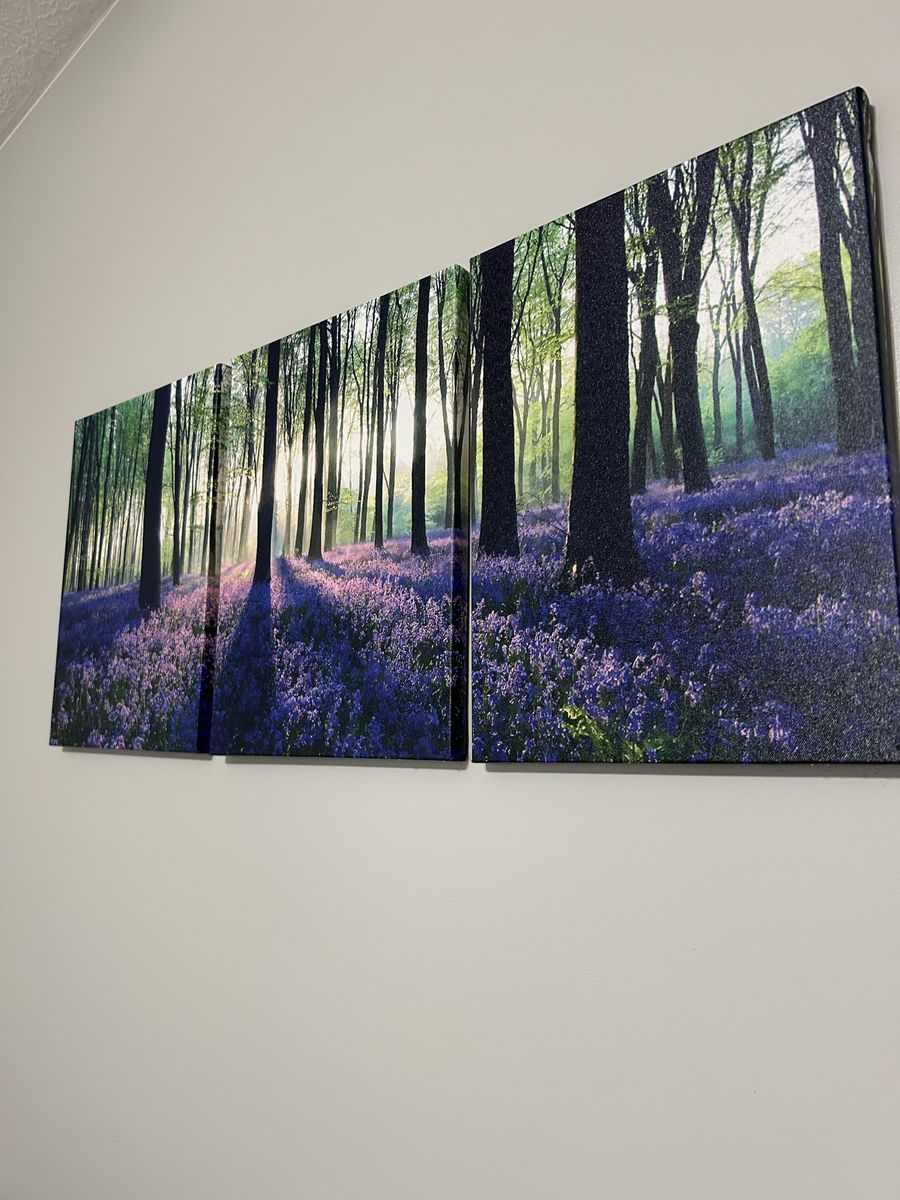 Forest with Purple Flowers Canvas Wall Art - 3-Piece Set - Sunlit Nature Scene