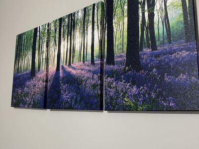 Forest with Purple Flowers Canvas Wall Art - 3-Piece Set - Sunlit Nature Scene