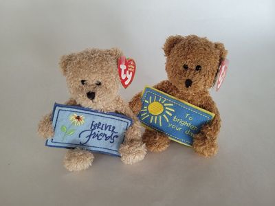 Ty Beanie Baby Bears "Forever Friends" & "To Brighten Your Day" Plush Toy Set