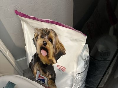 Science Diet Dog Food