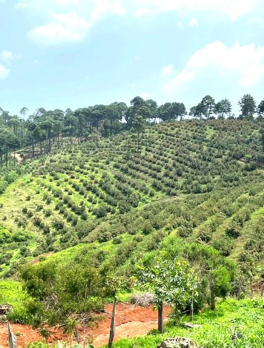 Rancho El Fresnal Jalisco Mexico